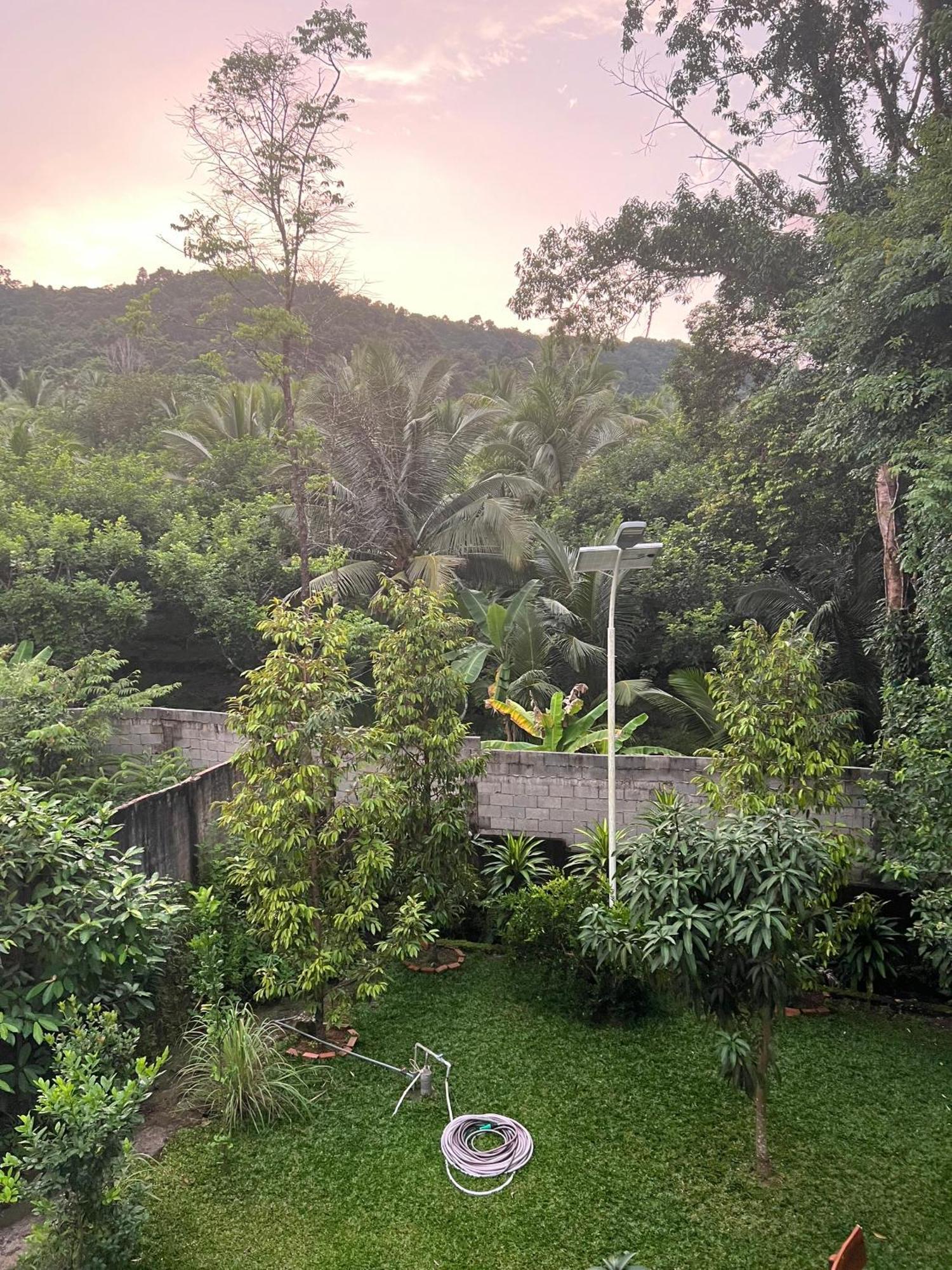 Bungalow Sang Tuoi Mountains Phu Quoc Eksteriør bilde